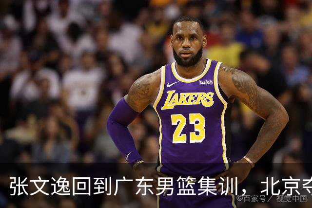 张文逸回到广东男篮集训，北京夺冠功勋确定退役，上海欲续约弗格